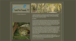 Desktop Screenshot of centralparkperio.com